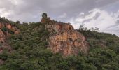 Trail Walking Roquebrune-sur-Argens - Blavet selon François  - Photo 8