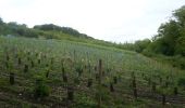Randonnée Marche Freneuse - 20220630-Freneuse - Photo 2