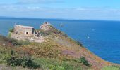 Tour Wandern Erquy - GR_34_BG_13_Erquy_Pleneuf-Val-Andre_20230819 - Photo 12