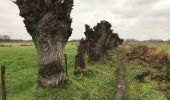 Tocht Stappen Gent - Langs Schelde en E17 - Photo 1