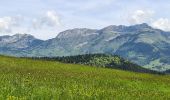 Randonnée Marche Villard-de-Lans - Villard de Lans - Balcons et falaises de la Bourne - panorama  - Photo 3