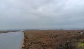 Trail Walking Canet-en-Roussillon - st cyprien, entre mer et étang  - Photo 10