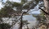 Tour Wandern Hyères - 20210312 A Pieds Porquerolles - Photo 6