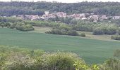 Excursión Senderismo Solignat - PUY D'YSSON - Photo 8