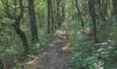 Tour Wandern Gréolières - le bau de St Jean  - Photo 5