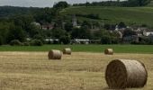 Trail Walking Château-Thierry - Rando- dimanche du 21-07-2024 - Photo 1