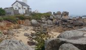 Tocht Stappen Plounéour-Brignogan-Plages - 22 Août 2024 - dolmen du Dievet vers le phare de Pontusval - Photo 2