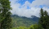 Tocht Stappen Chamonix-Mont-Blanc - J24 - R24 - Cascade du Dard - Lac des Gaillands 
 - Photo 4