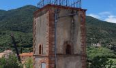 Randonnée Marche Montesquieu-des-Albères - Collioure Montesquieu les Albères - Photo 8