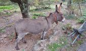 Tour Wandern Colognac - colognac - Photo 2