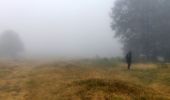 Tocht Stappen Plancher-les-Mines - 2019-08-07 Balade Plancher des belles filles - Photo 3