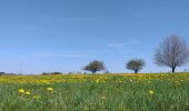 Tocht Stappen Saint-Chély-d'Aubrac - Compostelle St chely St come d'olt - Photo 5