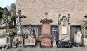 Tour Zu Fuß Grevenmacher - FB Grevenmacher I - Photo 10