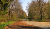 Tour Wandern Rethondes - en forêt de Laigue_1_le Grand Octogone - Photo 9