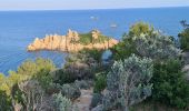 Tour Wandern Ramatuelle - Ramatuelle - de Bonne Terrasse au Rocher des Portes en passant par le phare - Photo 5