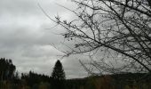 Trail Walking Manhay - en face de la chavée - Photo 1