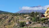 Excursión Senderismo Los Realejos - San Juan de la Rambla - Photo 11