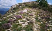Trail Walking Saint-Geniez - la montagne de Gache - Photo 5