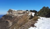 Tour Schneeschuhwandern Saint-Agnan-en-Vercors - Rousset-Plateau de Beure 7,5km - Photo 1