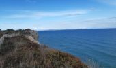 Trail Walking Leucate - la franqui - phare du cap de leucate / retour par la falaise et la plage  - Photo 20
