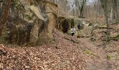 Tocht Noords wandelen Fontainebleau - Départ croix Toulouse  - Photo 4