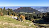 Trail On foot Brannenburg - BF6 - Über Stock und Stein - Photo 2