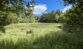 Randonnée  Lamazière-Basse - Lamaziere Basse - Photo 2