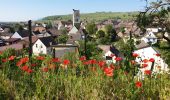 Tour Wandern Mittelweier - Les perles du vignoble : Mittelwihr - Beblenheim - Zellenberg - Hunawihr - Riquewihr - Sigolsheim - Photo 15