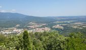 Randonnée Marche Sant Ferriol - besaliu 190724 - Photo 11