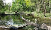 Tour Zu Fuß Gemeinde Weiden an der March - Biberweg - Photo 5