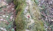 Randonnée Marche Plan-d'Aups-Sainte-Baume - Le sentier merveilleux et les glacières - Photo 1