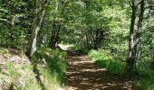 Randonnée Marche Murol - AUTOUR DU LAC CHAMBON  - Photo 14