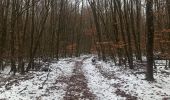 Trail Nordic walking Habscht - Grillplaz - Photo 1