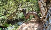 Percorso Marcia Signes - Pont du diable, la cascade du Latay et la chapelle Châteauvieux - Photo 10