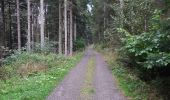 Trail On foot Neuweiler - Teinachtalweg - Photo 9