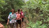 Randonnée Marche Signes - Sioux blanc  - Photo 2