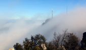 Tour Wandern La Roquebrussanne - 10844300-chapelle st andre ,grotte 400 moutons source oris - Photo 11