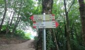 Tour Zu Fuß Brumano - Sentiero 579: Chignolo - Bocca del Grassello - Photo 7