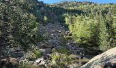 Tocht Te voet Unknown - Andorre : Parc de Sorteny - Photo 2