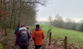 Tocht Stappen La Roche-en-Ardenne - Vecmont - Photo 10