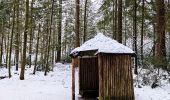 Randonnée Marche Vielsalm - Forêt domaniale du Grand-Bois  - Photo 6