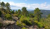 Trail Walking Cavalaire-sur-Mer - circuit les hauts de Cavalaire  - Photo 1