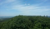 Tour Zu Fuß Hofheim in Unterfranken - Auf Jägerpfaden zur Schwedenschanze - Photo 1