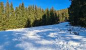 Randonnée Raquettes à neige Murat-le-Quaire - la Banne par le tenon - Photo 4