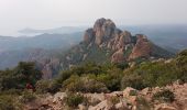 Randonnée Marche Saint-Raphaël - L' ESTEREL - DU COL DE L'EVEQUE AU PIC DU CAP ROUX ET GROTTE SAINT HONORAT - Photo 15