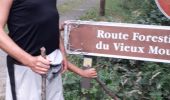 Trail Walking Bagnoles-de-l'Orne-Normandie - Route forestière du vieux moulin  - Photo 3