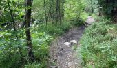 Trail Walking Jalhay -  Boucle de Charneux 17 Km  - Photo 7
