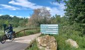 Trail Walking Sauveterre - 2024-05-04 l'Oiselet - Photo 11