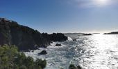 Excursión Senderismo Hyères - Tour de la presqu'île de Giens est - Cap Esterel - Photo 3