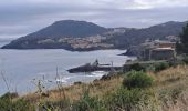 Trail Walking Argelès-sur-Mer - Argelès Collioure par la côte - Photo 6